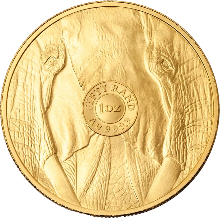 1 oz Wielka Piątka Afryki Słoń Złota Moneta | 2025